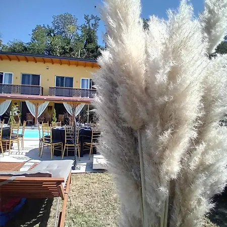 Mihajlova Oaza * Nestin