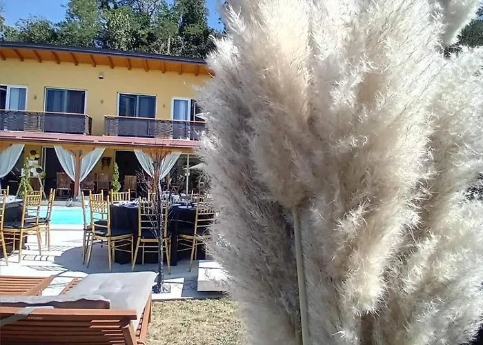 Mihajlova Oaza * Nestin